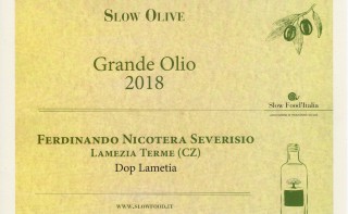 Tra i migliori oli extravergine di Calabria: il Dop Lametia Nicotera Severisio ottiene il premio Slow Food